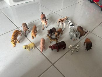Lot de 16 animaux en bon état 