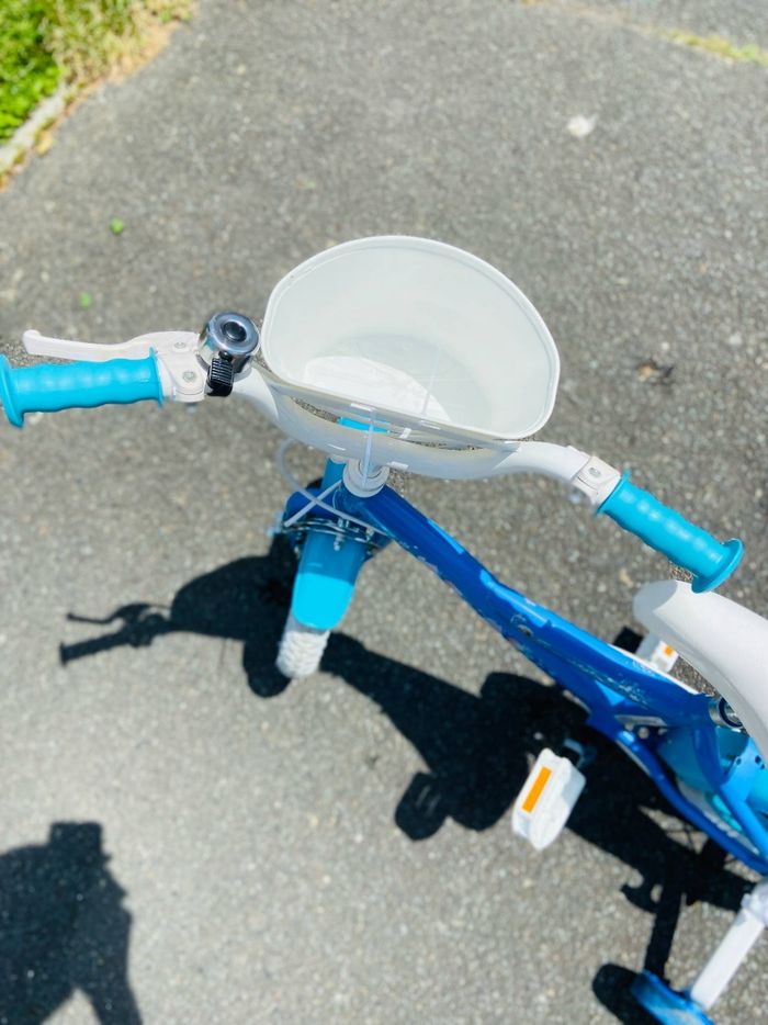 Vélo reine des neiges - photo numéro 3