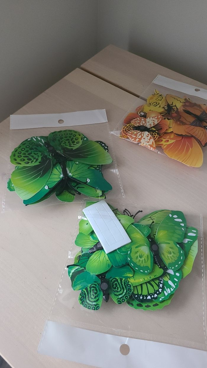 Activités - photo numéro 10