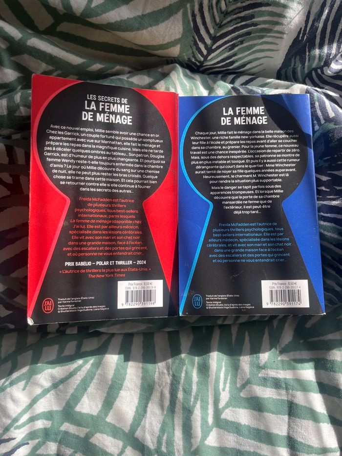 Roman la femme de ménage - photo numéro 2