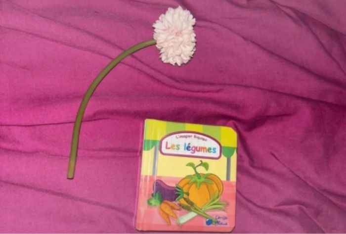 L’imagier riquiqui les légumes