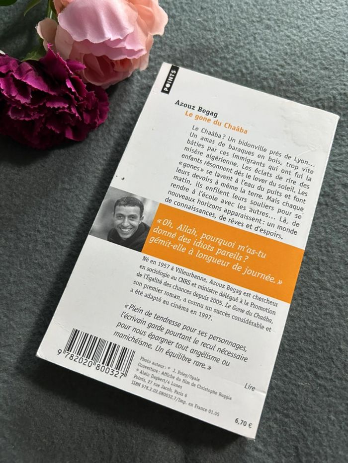 Livre azouz begag - le gone du chaaba - photo numéro 2