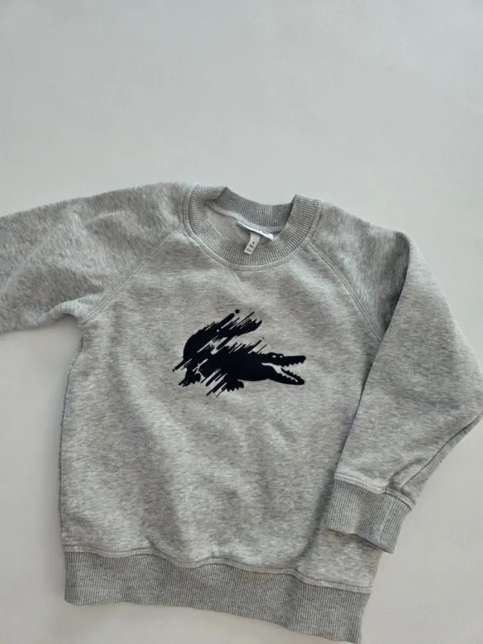 Sweat lacoste gris