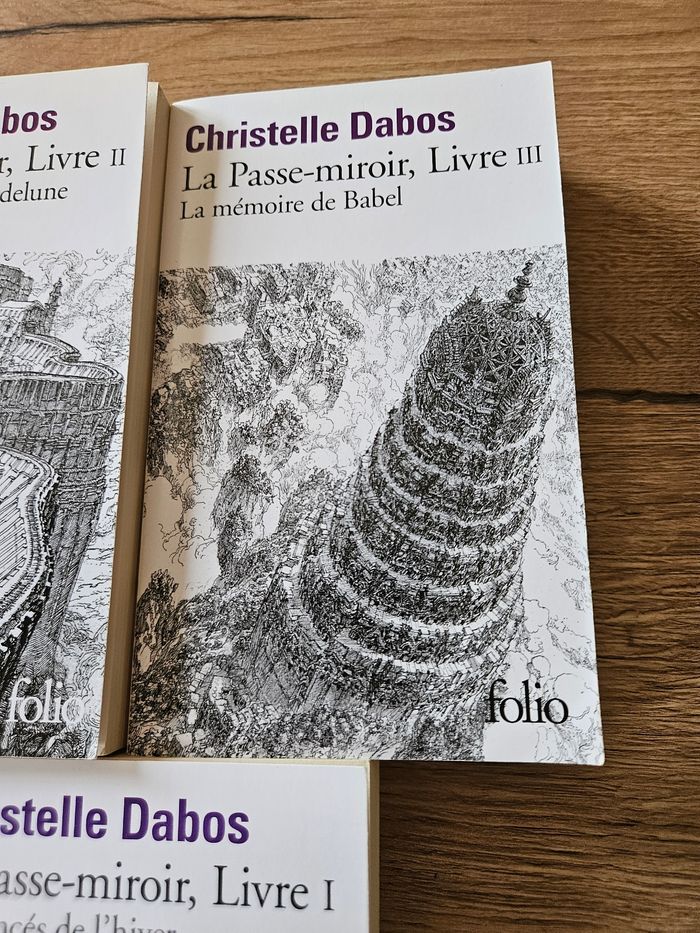 La passe-miroir de Christelle Dabos (3 tomes) - photo numéro 3