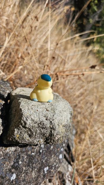 Super figurine Pokemon Nintendo finger puppet hericendre