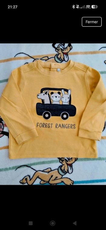 Petit pull bébé