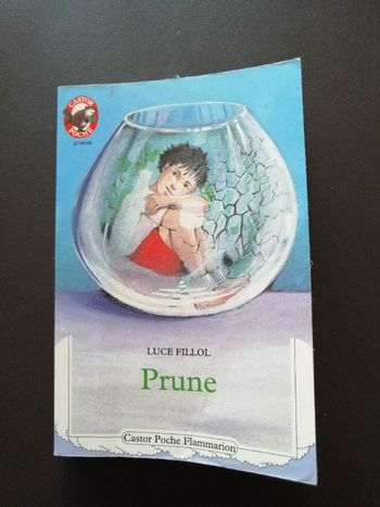 Livre Prune de Luce Fillol en bon état