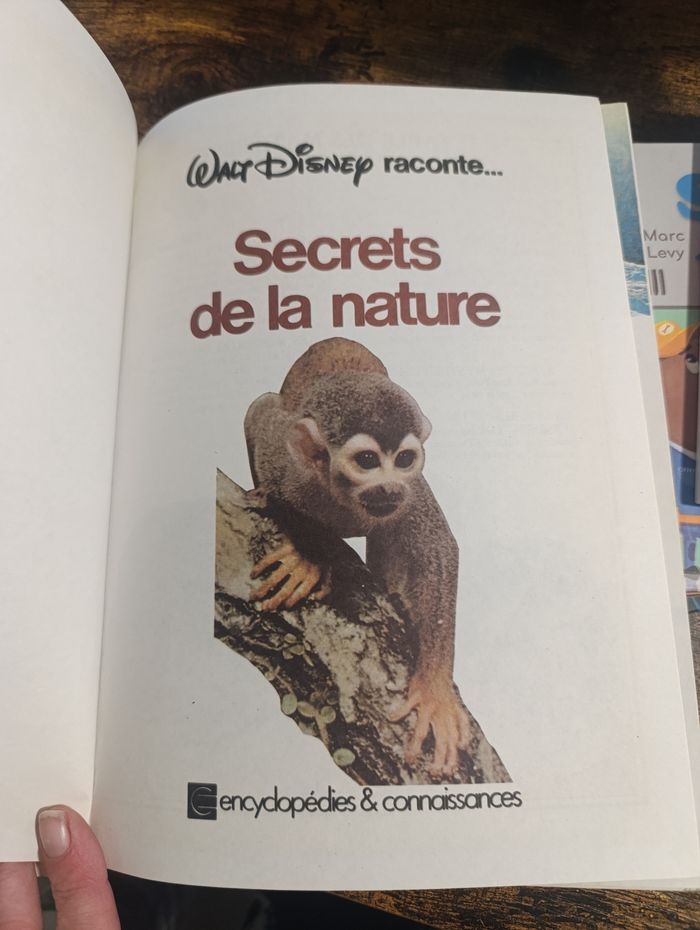 Livre Disney - photo numéro 2