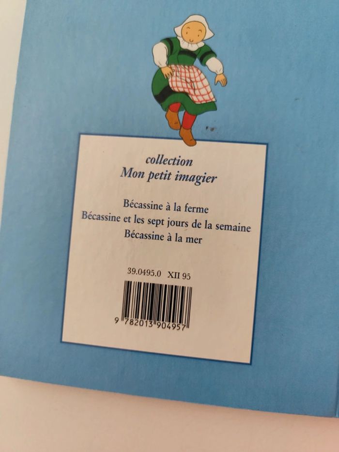 Bécassine à la mer - photo numéro 2