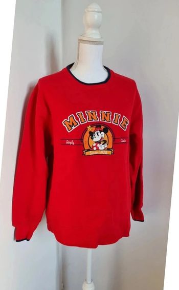 Sweat DisneyLand Paris