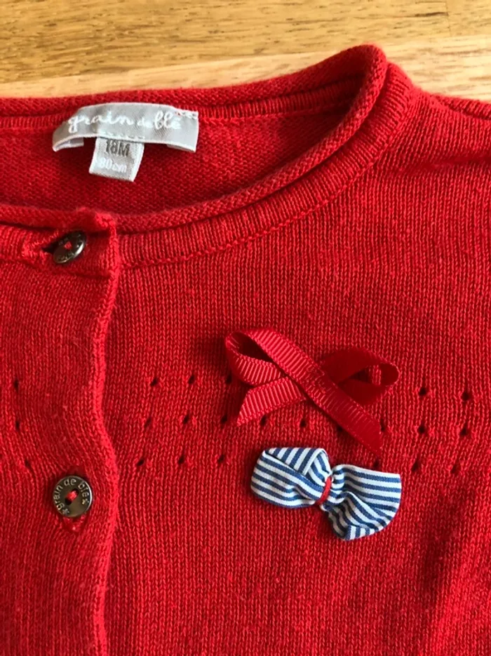 Gilet rouge - photo numéro 2