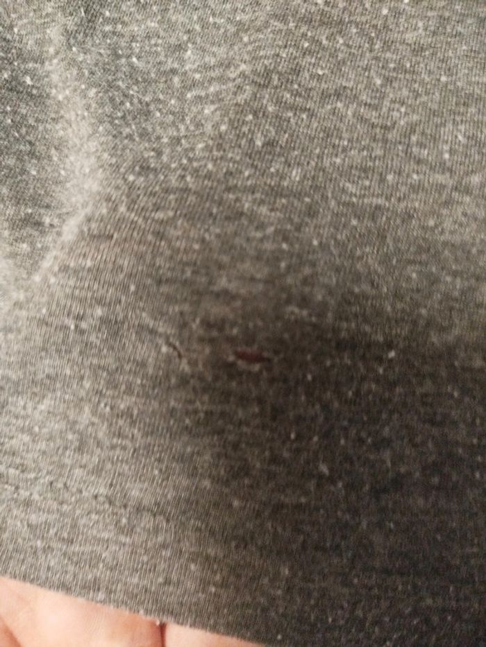 Tshirt gris basique - Zara - M (trou) - photo numéro 3