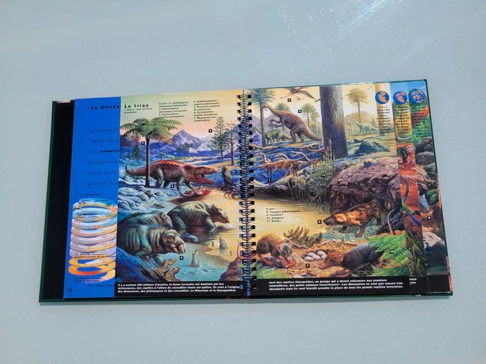 Livre animé de flaps Mi-oiseaux, mi-dragons, les dinosaures, Gallimard Jeunesse (47) - photo numéro 13