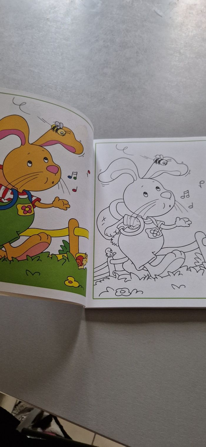 Livre de coloriage - photo numéro 2