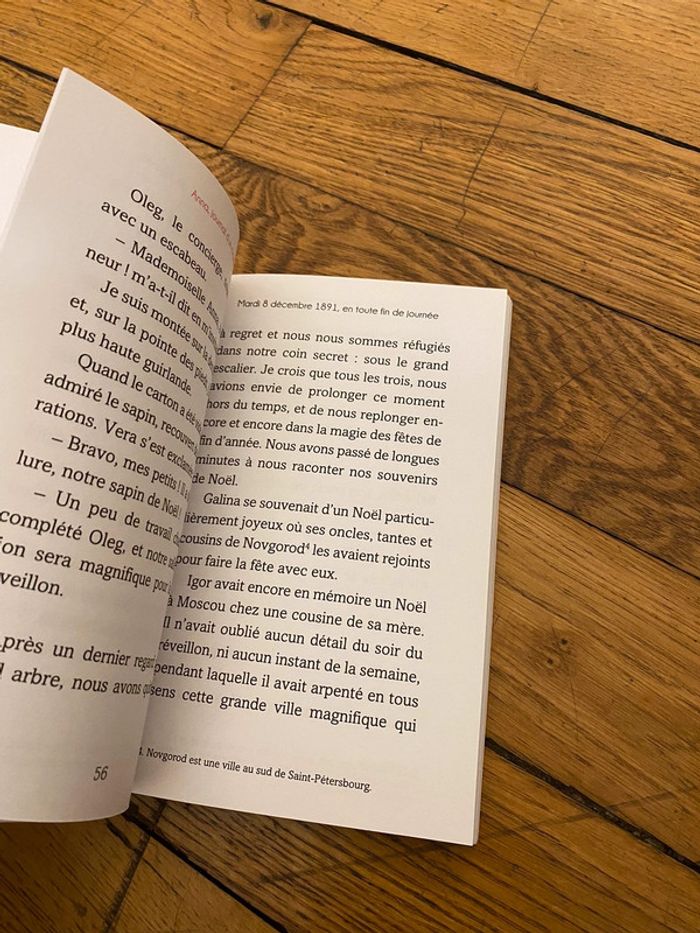 Livre Anna Journal d’un cygne - photo numéro 7