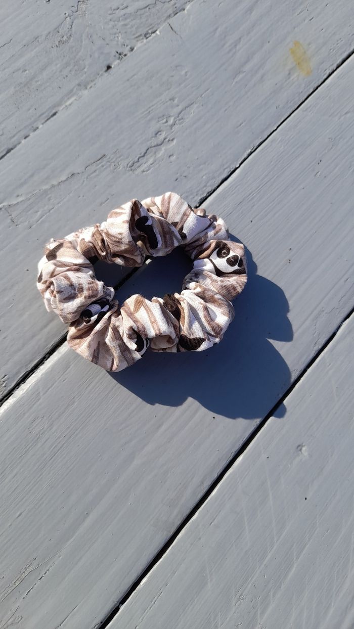 Chouchou - photo numéro 4