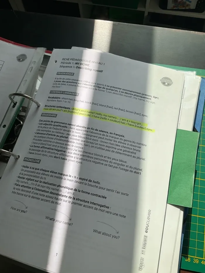 Classeur avec de nombreux supports pédagogiques en anglais - photo numéro 2