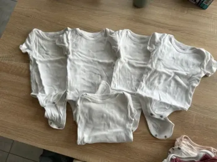 4 bodies manches courtes