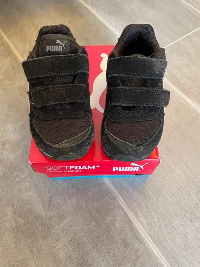 Basket puma