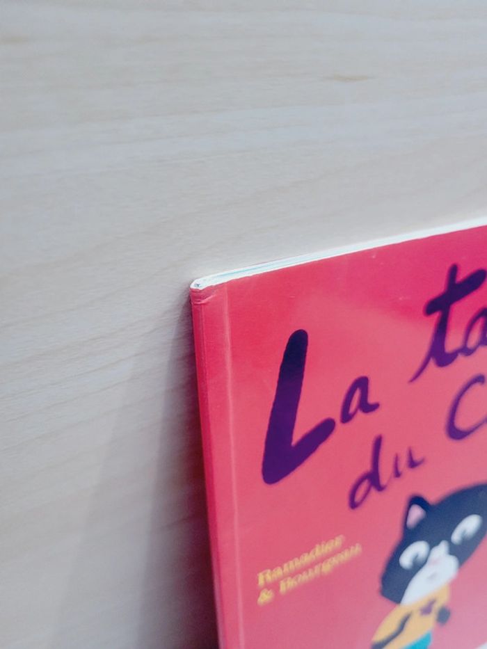 🌺 Livre (école des loisirs) : La tache du chat - photo numéro 6