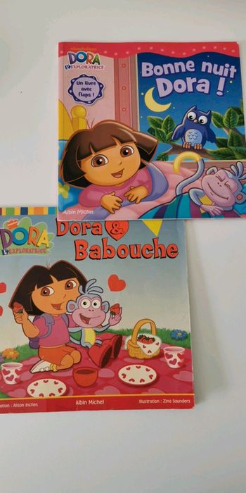 Lot 2 livres Dora