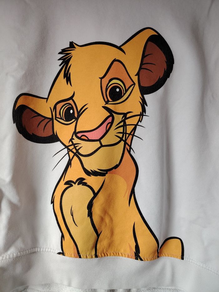 Pull roi lion - photo numéro 2