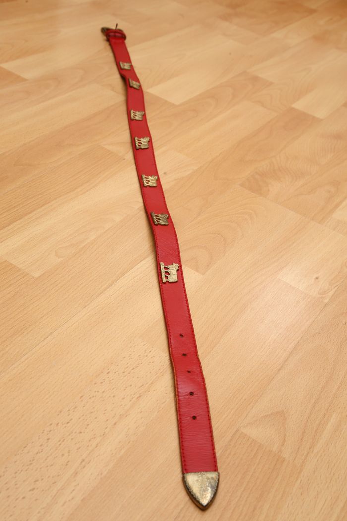 Ceinture vaches - photo numéro 3