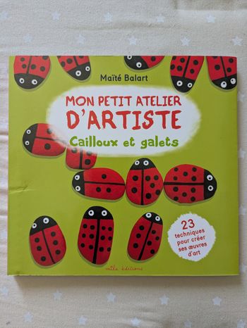 Livre atelier créatif peinture galet cailloux