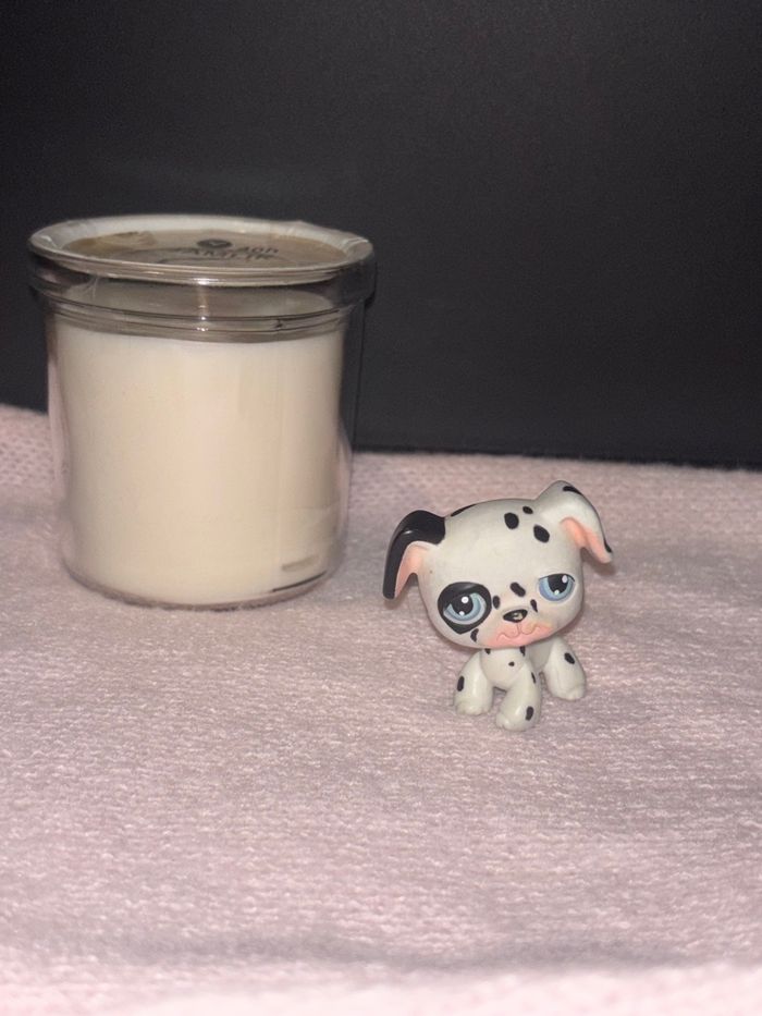 dalmatien #44 - photo numéro 2