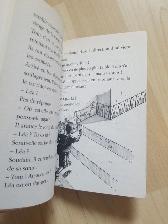 Le secret de la pyramide - photo numéro 4