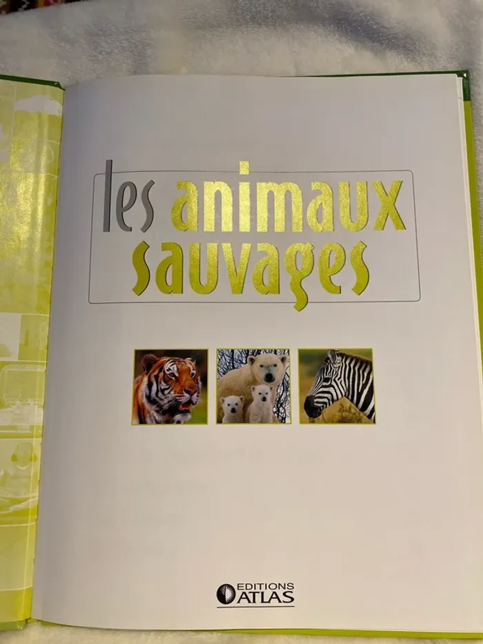 les animaux sauvages éditions atlas jeunesse - photo numéro 3