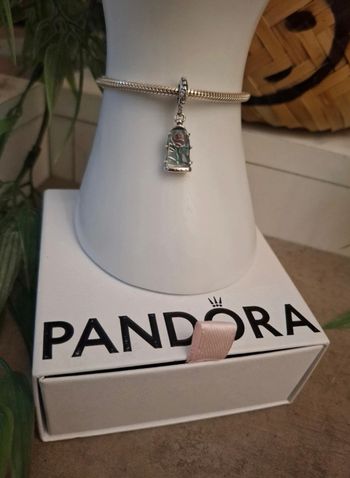 Charm de la rose enchanté du Disney la belle et la bête