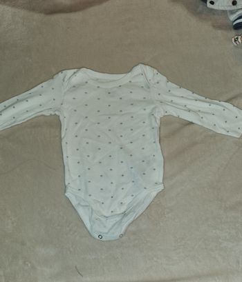 Body