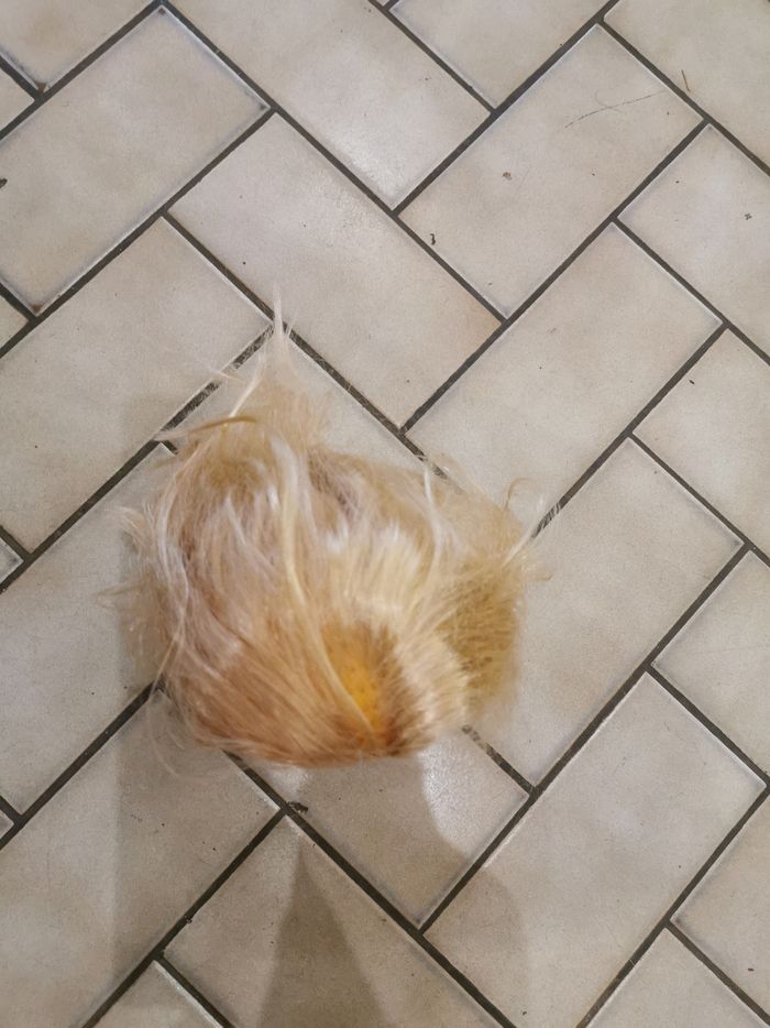 Tête à coiffer - photo numéro 2