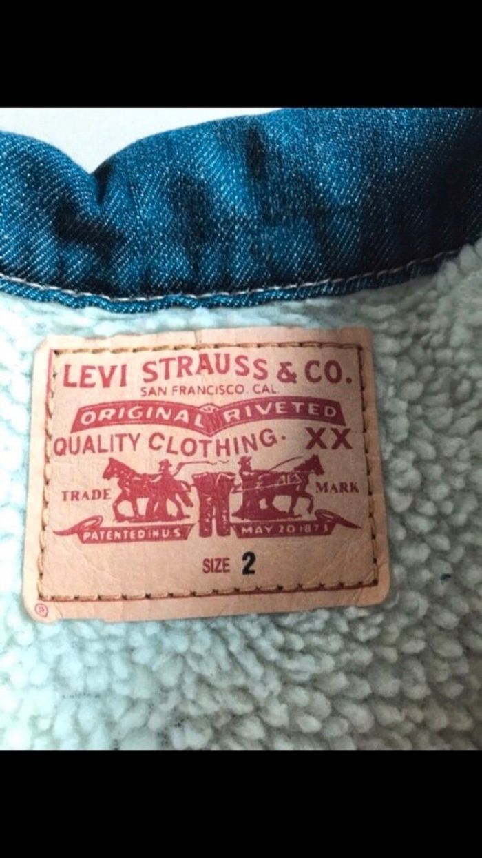 Veste doublée Lévis 24 mois - photo numéro 3