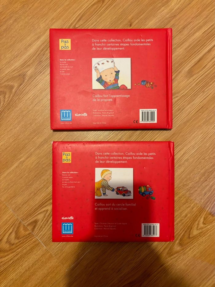 Livres caillou - photo numéro 2