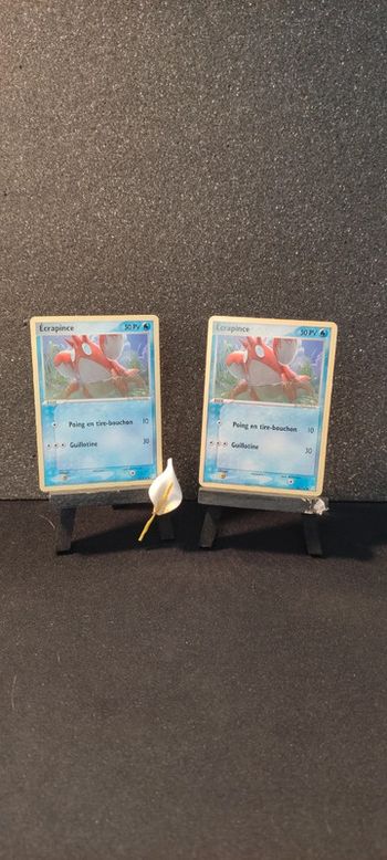 Lot de cartes Pokémon, Ecrapince, EX Fantômes Holon