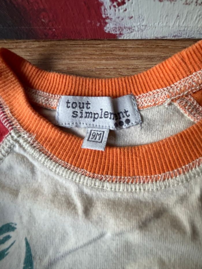 Lot 3 pull 9 mois - photo numéro 5