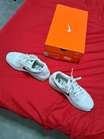 Basket Nike Revolution 5