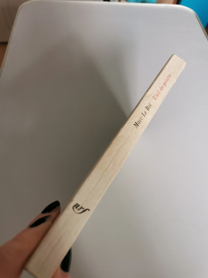 L’œil du peintre, livre de Marc Le Bot - photo numéro 5