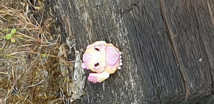 BJD Ball Jointed Doll legit Cracotti Le Mouton en Sucre - photo numéro 2