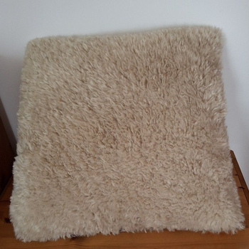 Coussin d'intérieur CASA 