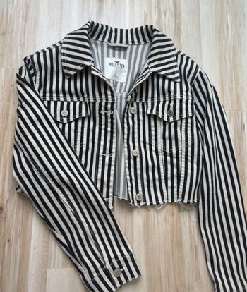 veste courte Hollister