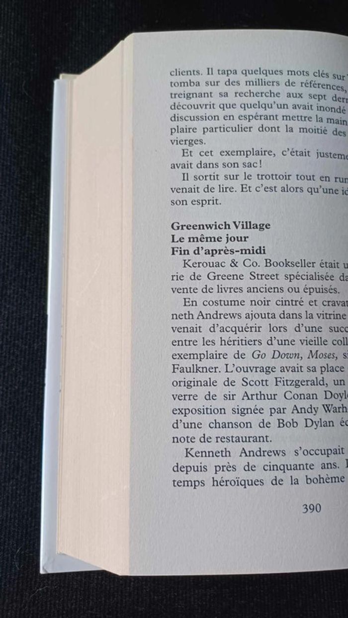 Un avion sans elle – Michel Bussi - photo numéro 2