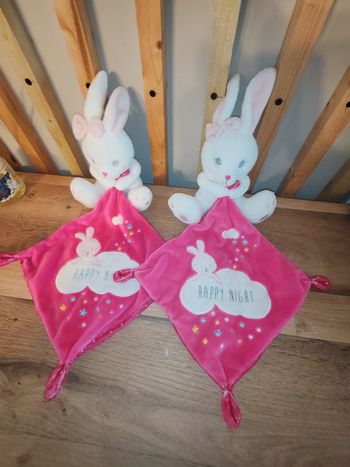 2 lapins rose fushia happy night
