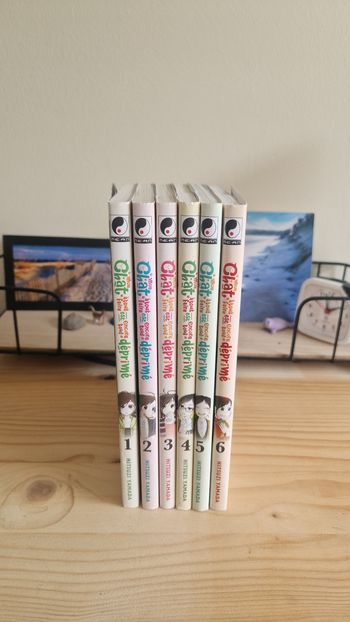 Manga mon chat à tout faire est encore tout déprimé