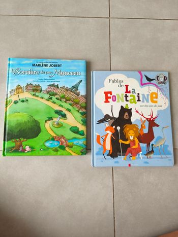 Lot 2 grands livres