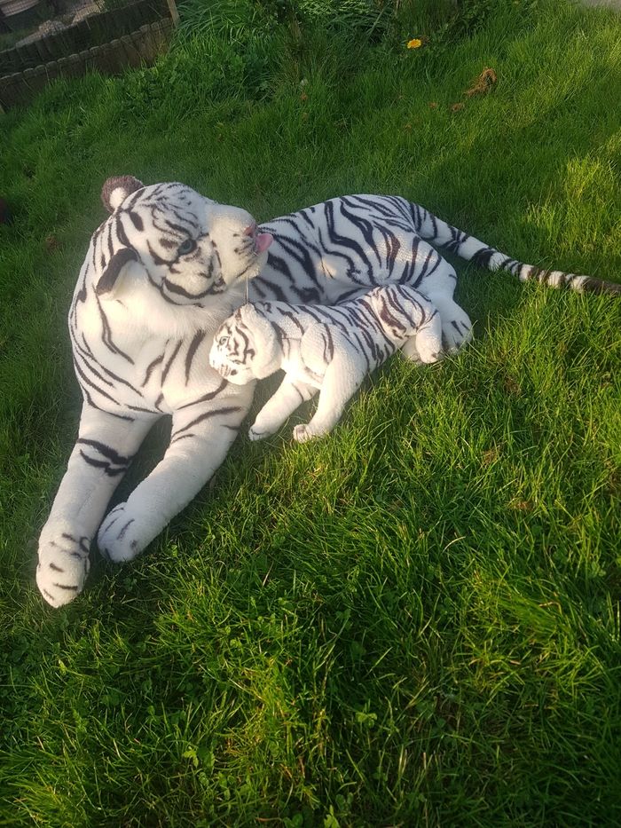 Grande peluche maman et bébé tigre blanc 80cm sans la queue - photo numéro 3