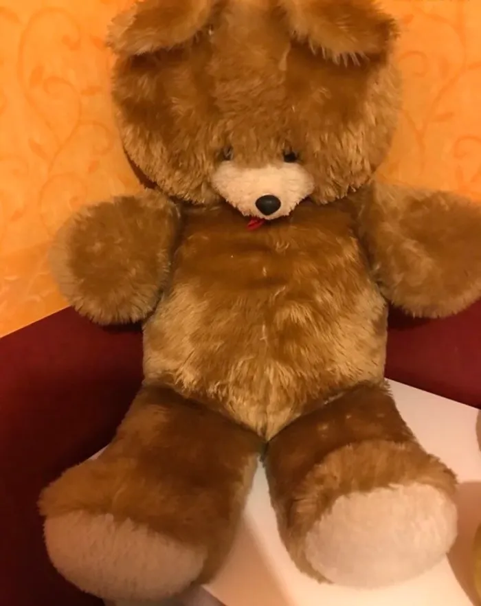 Ours peluche