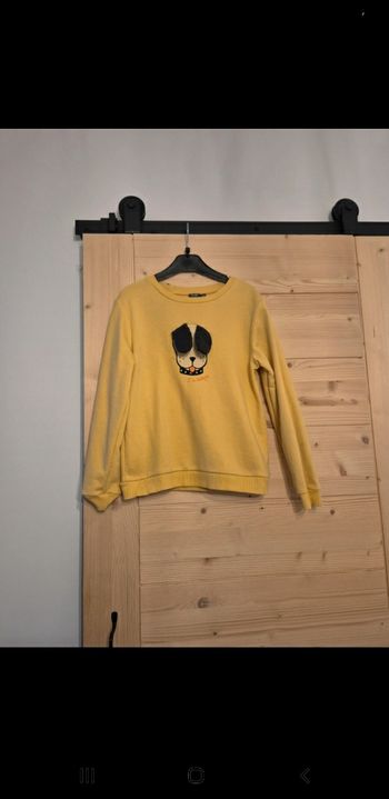 Pull chien